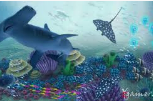 掌中彩welcome正式版